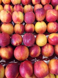 Full frame shot of fruits in market