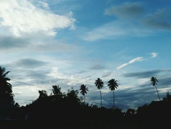 Low angle view of silhouette trees against sky