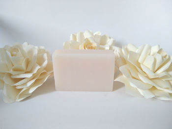 Close-up of white roses against black background