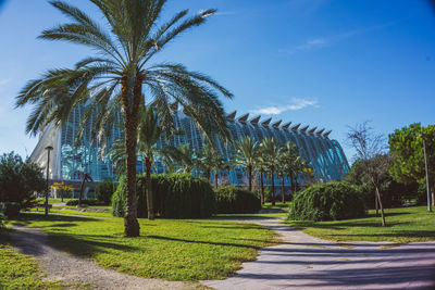In valencia you never suffer cold weather and you can feel all the vibes of spain.