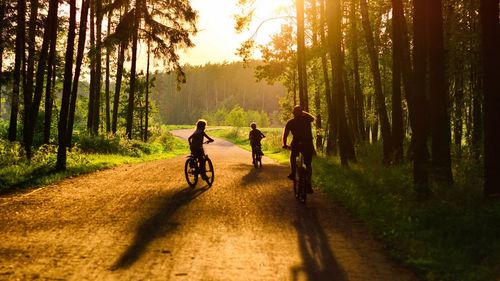 Rear view of people riding bicycle on road