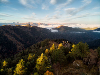 View from a drone at dawn in the mountains, aerial view through the clouds with fog