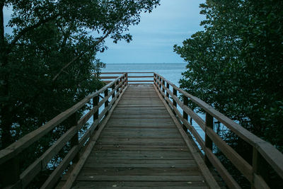 Wooden footbridge along plants and trees against sky