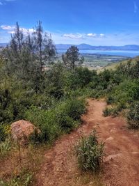 Scenic view of land against sky