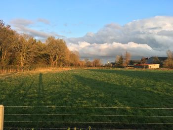 Scenic view of field against sky