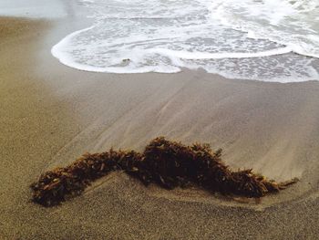 High angle view of sand on beach