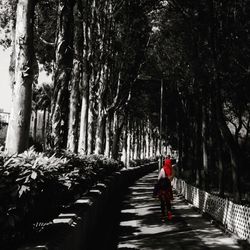 People walking on footpath amidst trees