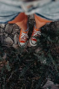 Low section of man standing on field