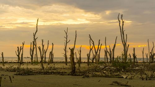 Scenic view of sea at sunset