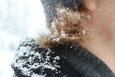 Close-up of snow on person collar