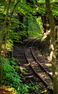 Train tracks winding in the ozark mountains 