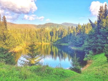 Scenic view of lake by trees against sky