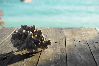 High angle view of food on table against sea