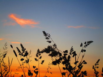 Low angle view of silhouette plants against romantic sky