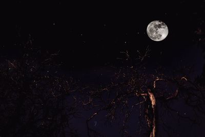 Scenic view of moon in sky at night