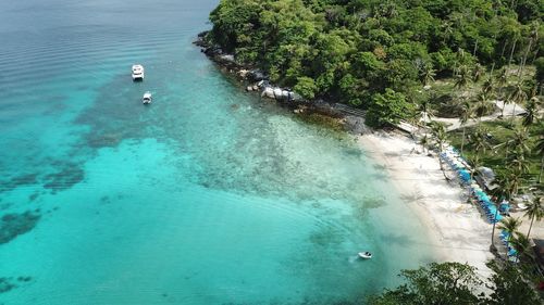 High angle view of sea amidst trees