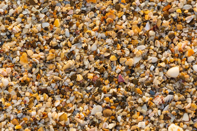 Full frame shot of pebbles on beach