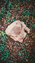 High angle view of dry leaves on field