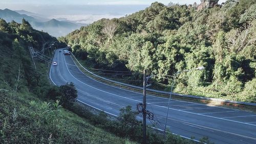 High angle view of road amidst trees