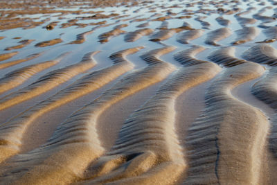The beach of city of pescara, abruzzo, italy