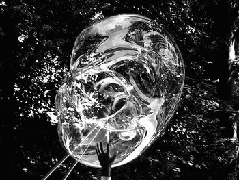 Close-up of bubbles against trees