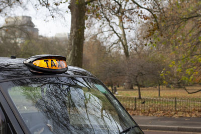 Reflection of trees on side-view mirror of car