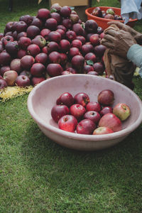 Fruits in bowl