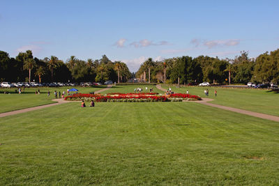 Stanford university, california