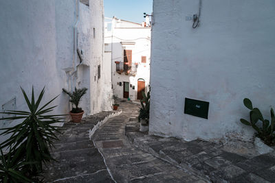 Narrow alley amidst buildings in city