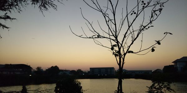 Silhouette bare tree by river against sky at sunset