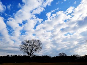 Silhouette bare trees on field against sky