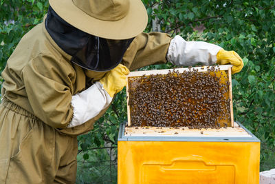 Rear view of man wearing hat