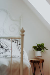 Cozy white beedroom interior plant on nightstand