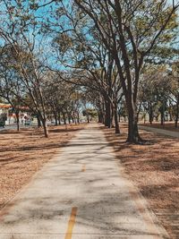 Road amidst trees in park