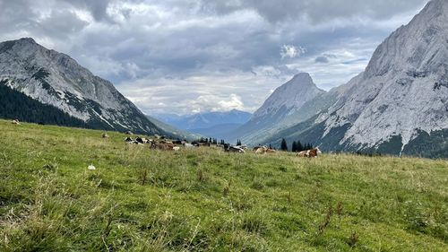 Scenic view of landscape and mountains against sky