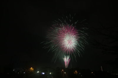 Low angle view of firework display at night