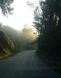 Road amidst trees against sky