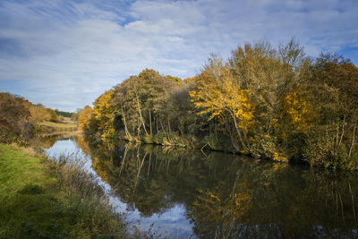 Reflection of trees in lake against sky