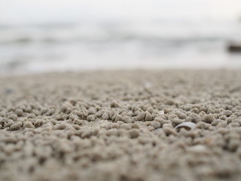 Close-up of pebbles on beach