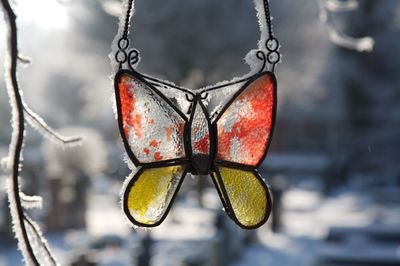 Close-up of frosted butterfly decoration