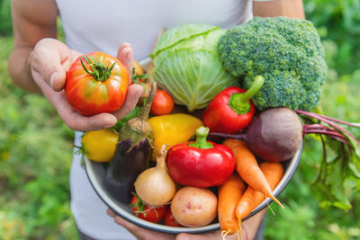 Close-up of tomatoes in bowl