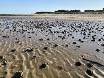 Scenic view of beach against clear sky