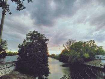 Trees by river against sky