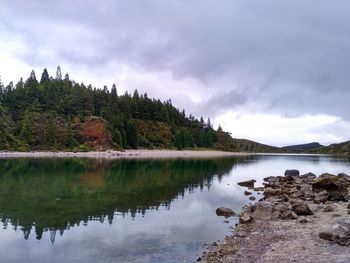 Scenic view of lake by trees against sky