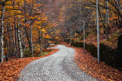 Road amidst trees in forest during autumn