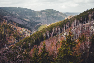 Panoramic view of trees and mountains against sky