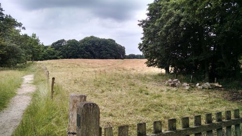 Trees growing on field against sky