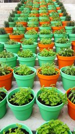 Full frame shot of vegetables for sale