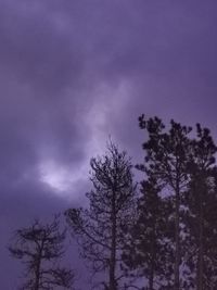 Low angle view of silhouette trees against sky at dusk