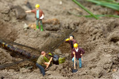 Close-up of worker figurines digging dead dragonfly on field